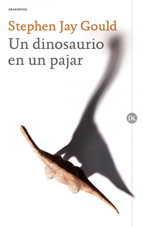 Cover of the book Un dinosaurio en un pajar by Stephen Jay Gould, Grupo Planeta