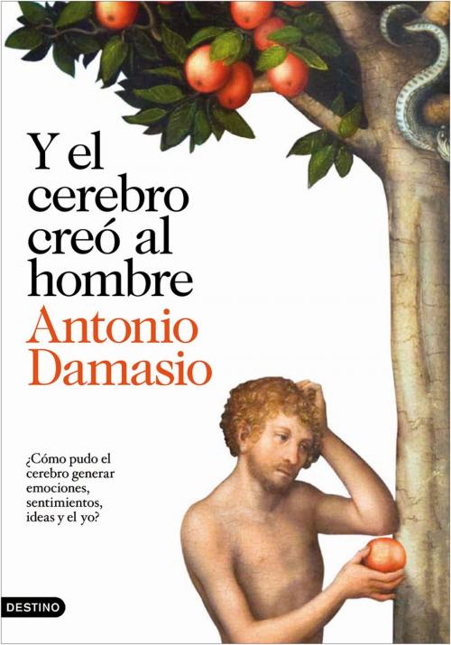 Cover of the book Y el cerebro creó al hombre by Antonio Damasio, Grupo Planeta