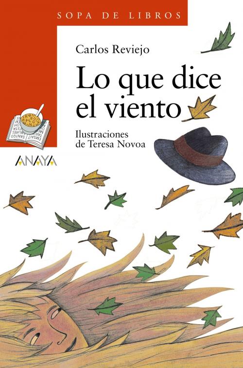 Cover of the book Lo que dice el viento by Carlos Reviejo, ANAYA INFANTIL Y JUVENIL