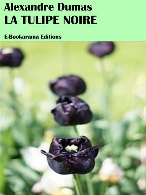 Cover of the book La tulipe noire by Alexandre Dumas, E-BOOKARAMA