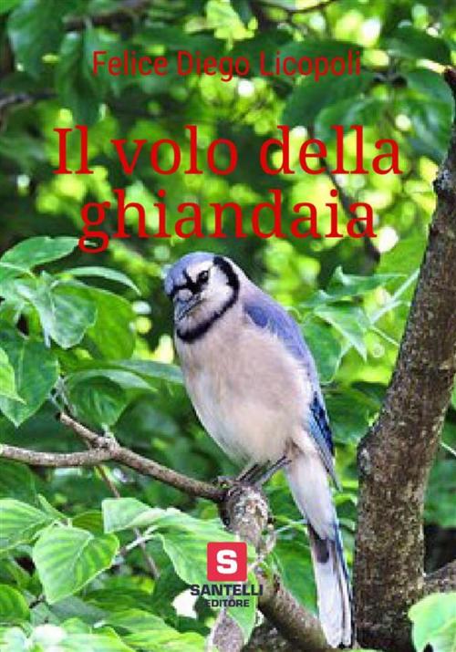 Cover of the book Il volo della ghiandaia by Felice Diego Licopoli, Nuova Santelli Edizioni