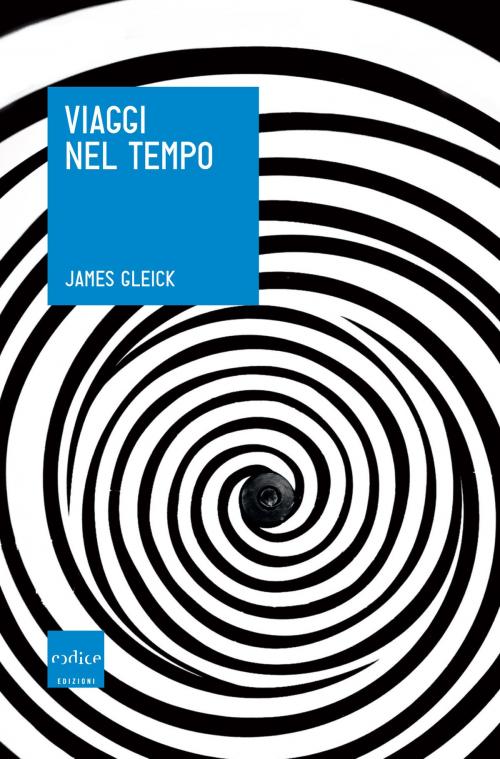 Cover of the book Viaggi nel tempo by James Gleick, Codice Edizioni