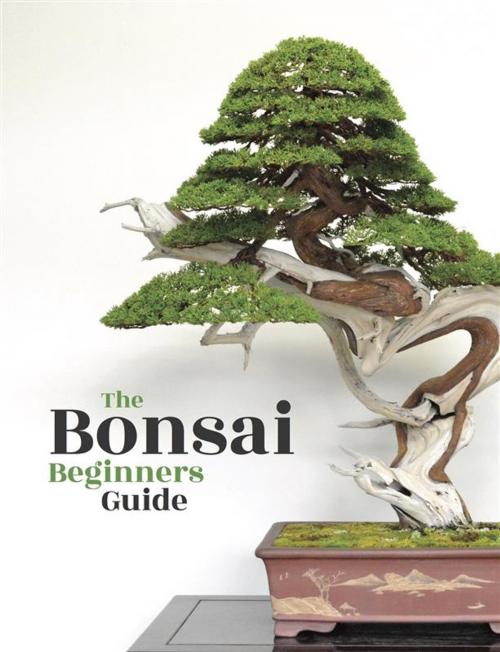 Cover of the book Bonsai by Bonsai Empire, Bonsai Empire