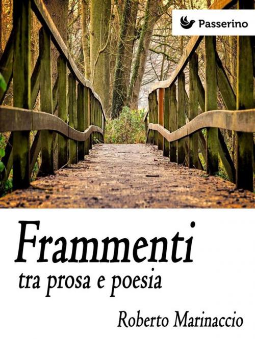 Cover of the book Frammenti tra prosa e poesia by Roberto Marinaccio, Passerino