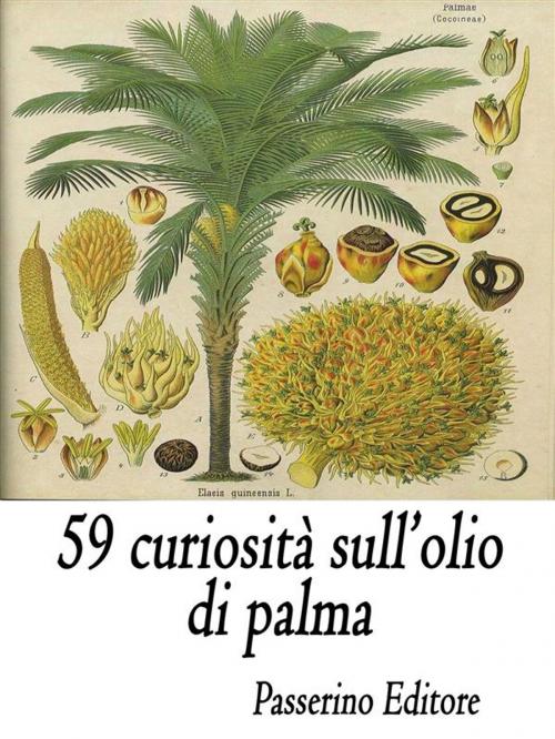 Cover of the book 59 curiosità sull'olio di palma by Passerino Editore, Passerino