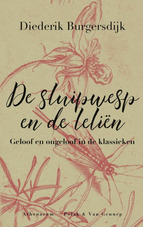 Cover of the book De sluipwesp en de leliën by Diederik Burgersdijk, Singel Uitgeverijen