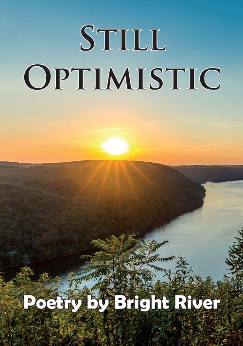 Cover of the book Still Optimistic by Bright River, Bulaja naklada