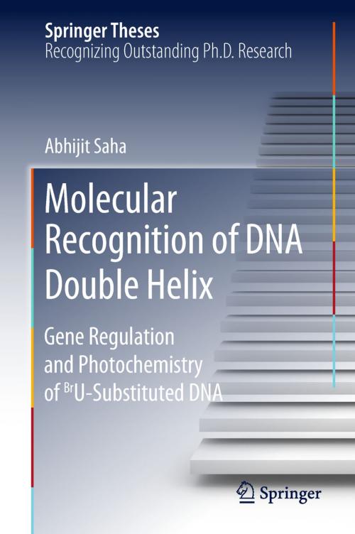 Cover of the book Molecular Recognition of DNA Double Helix by Abhijit Saha, Springer Singapore
