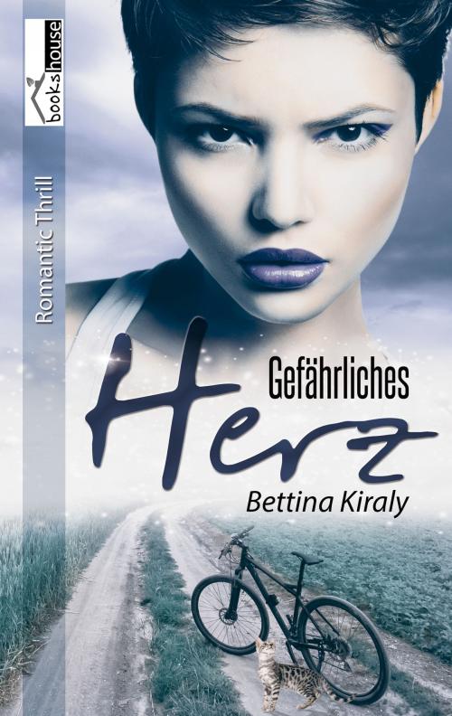 Cover of the book Gefährliches Herz by Bettina Kiraly, bookshouse