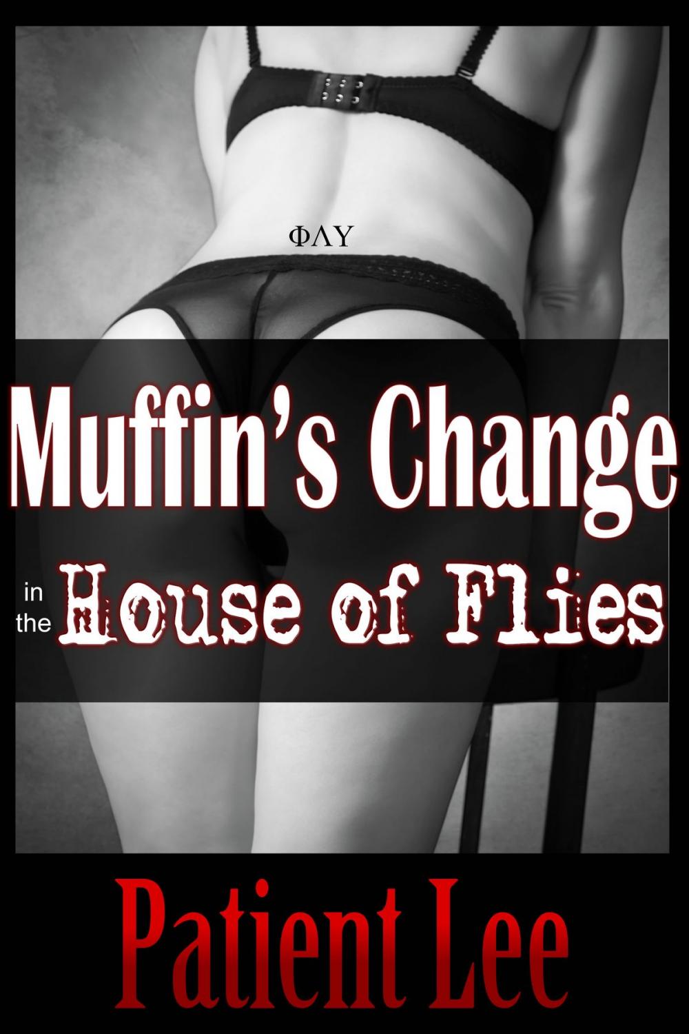 Big bigCover of Muffin’s Change in the House of Flies