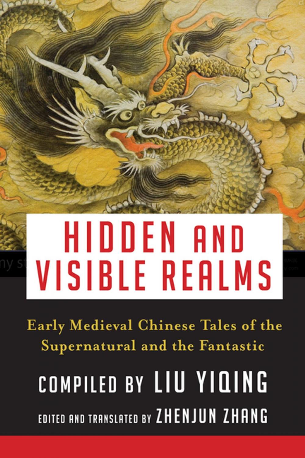 Big bigCover of Hidden and Visible Realms