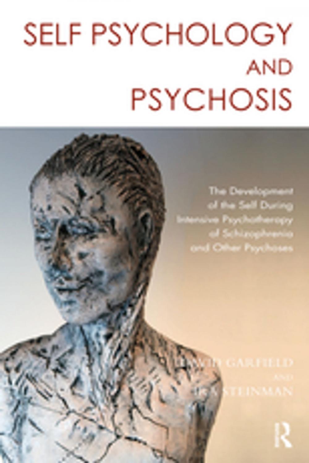 Big bigCover of Self Psychology and Psychosis