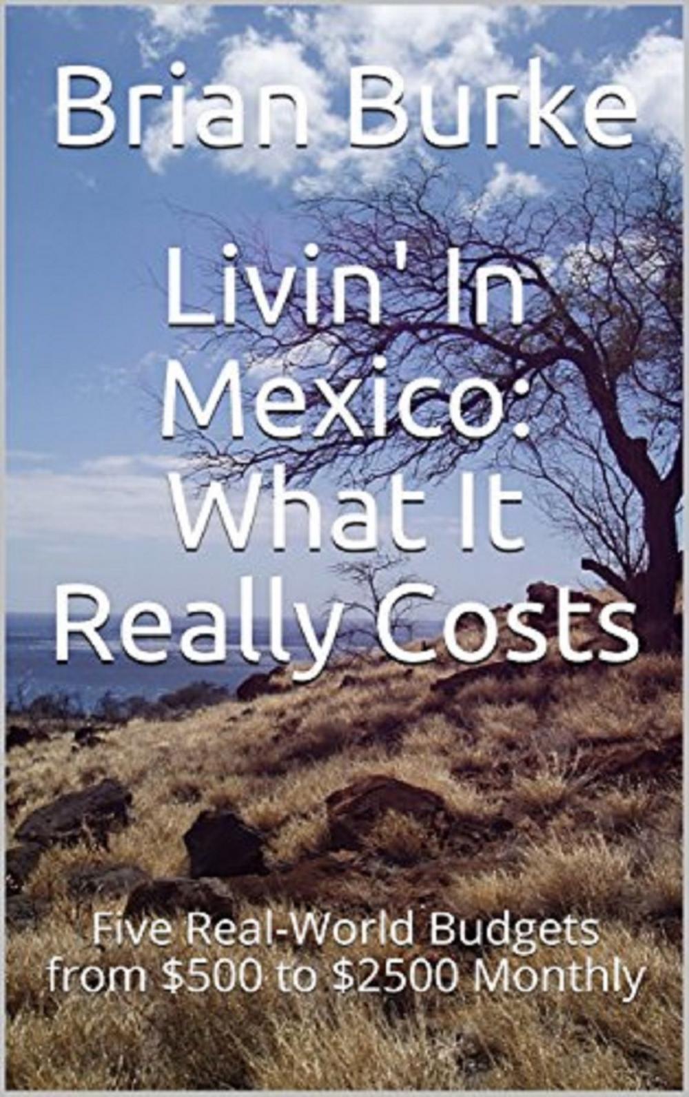 Big bigCover of Livin' In Mexico: What It Really Costs
