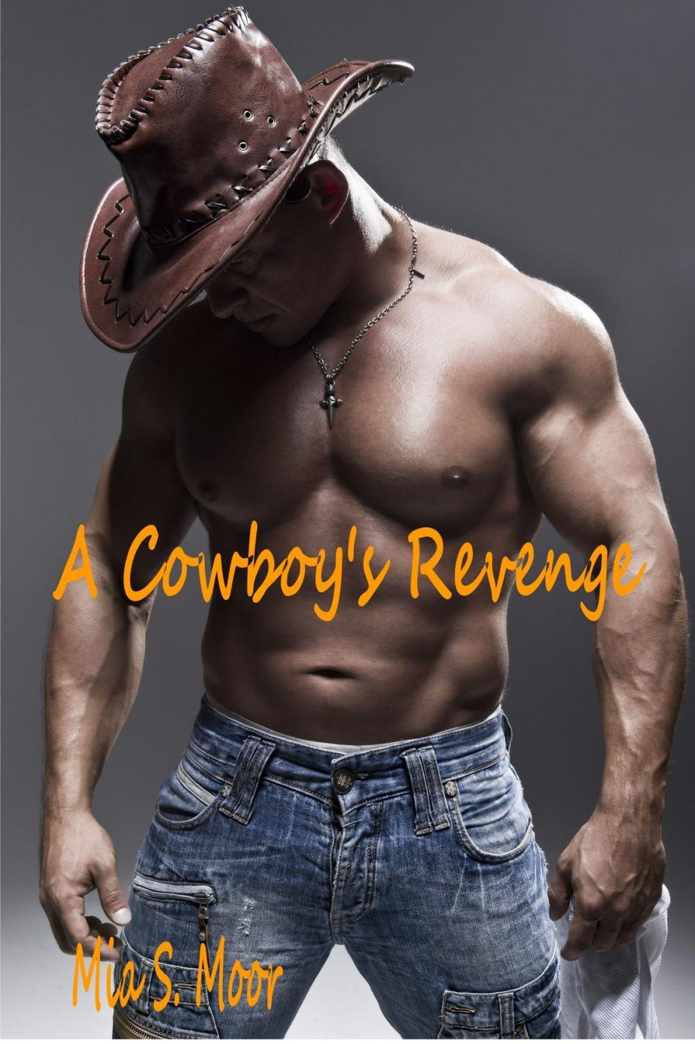 Big bigCover of Cowboy's Revenge