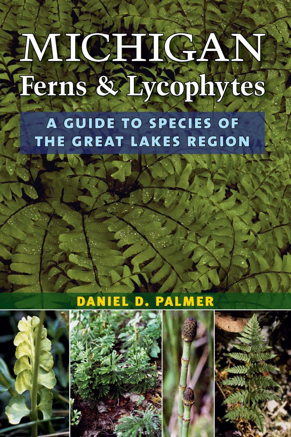 Big bigCover of Michigan Ferns and Lycophytes