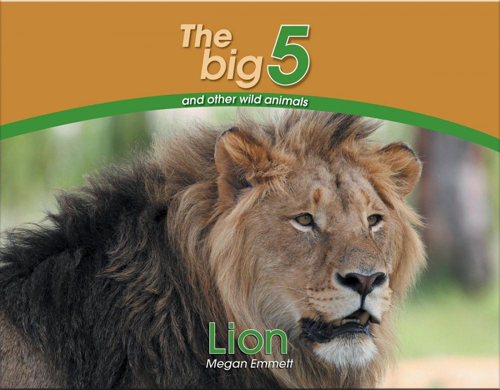 Big bigCover of Lion