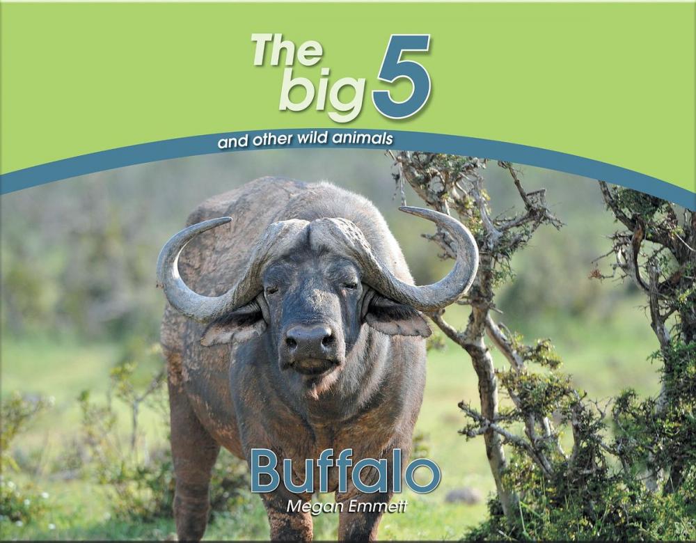 Big bigCover of Buffalo