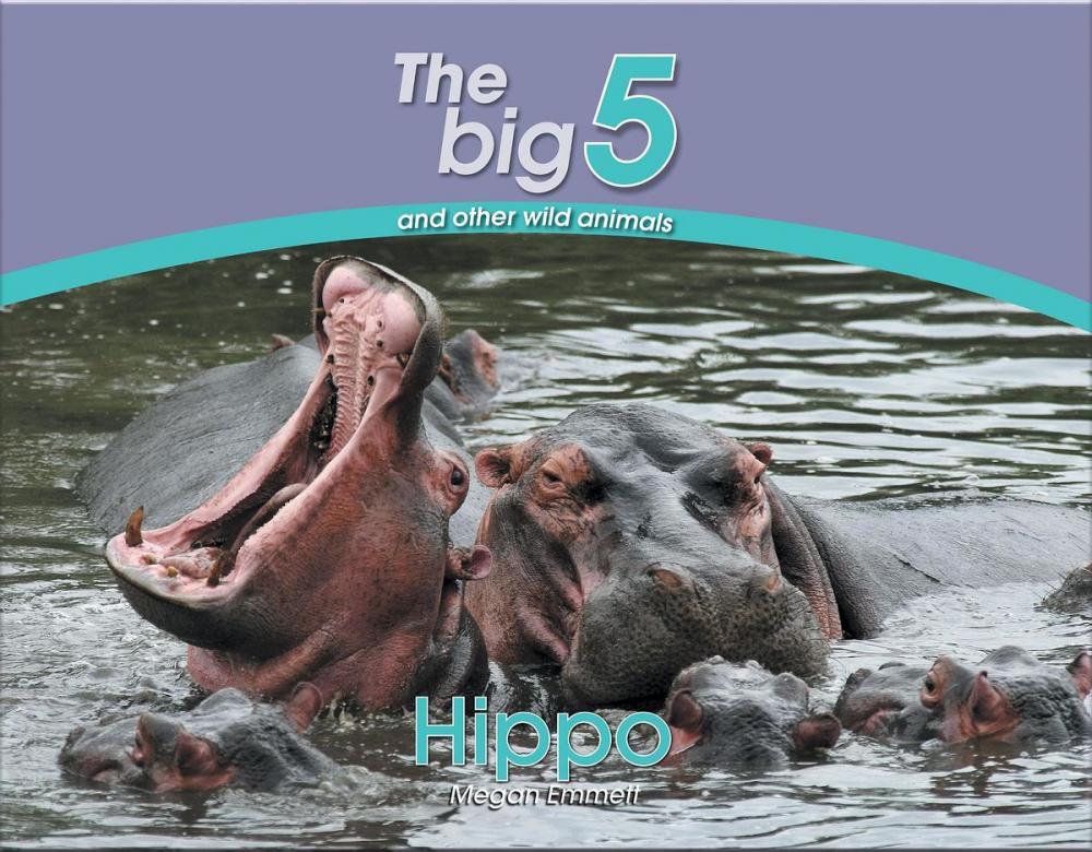 Big bigCover of Hippo