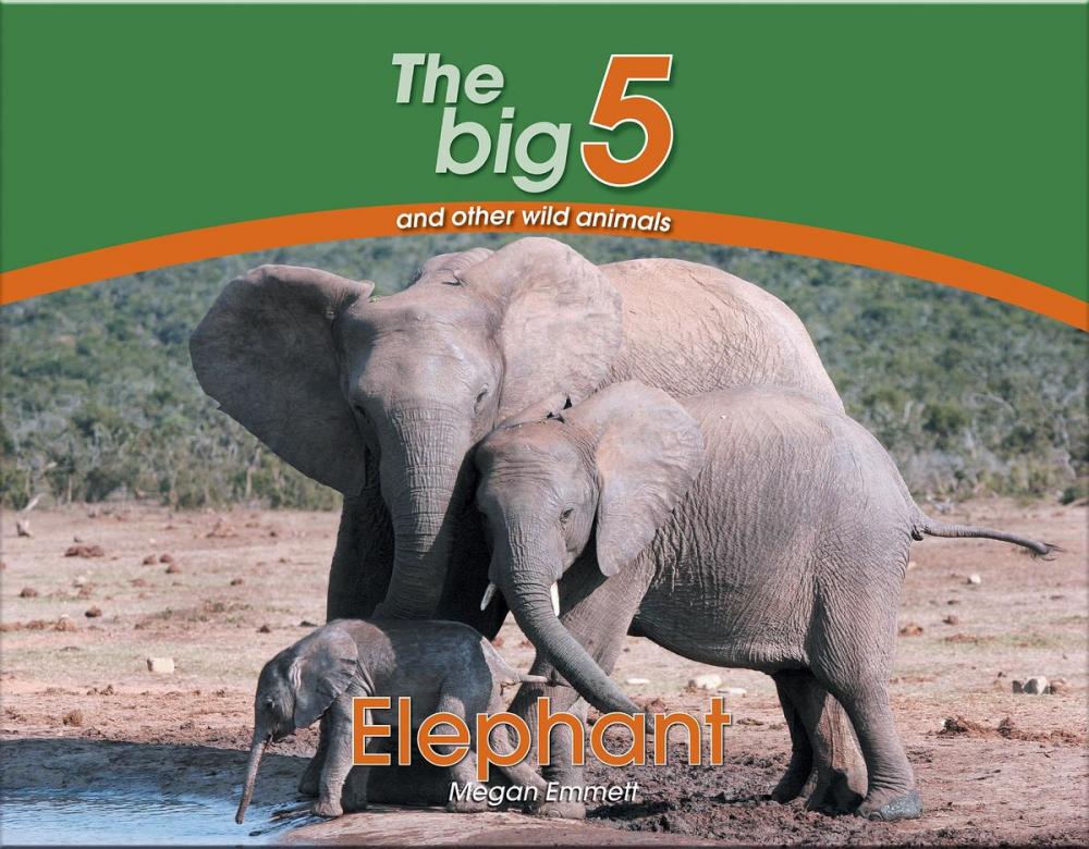 Big bigCover of Elephant