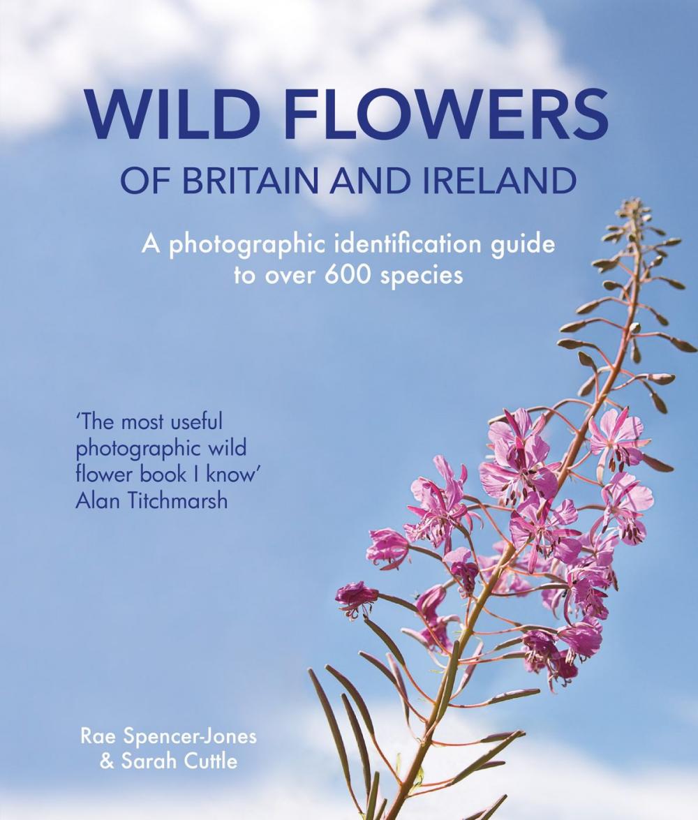 Big bigCover of Wild Flowers of Britain and Ireland