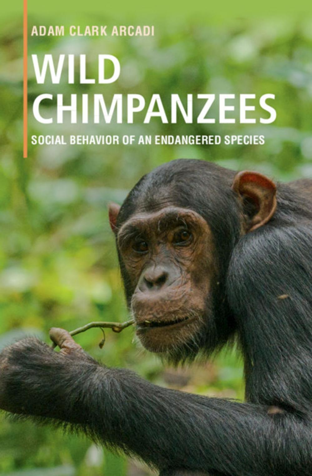 Big bigCover of Wild Chimpanzees