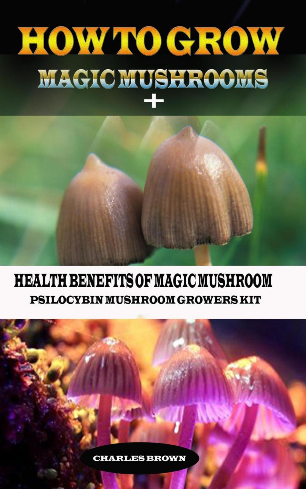 Big bigCover of How to Grow Magic Mushroom + Health Benefits of Magic Mushrooms: Psilocybin Mushroom Growers Kit