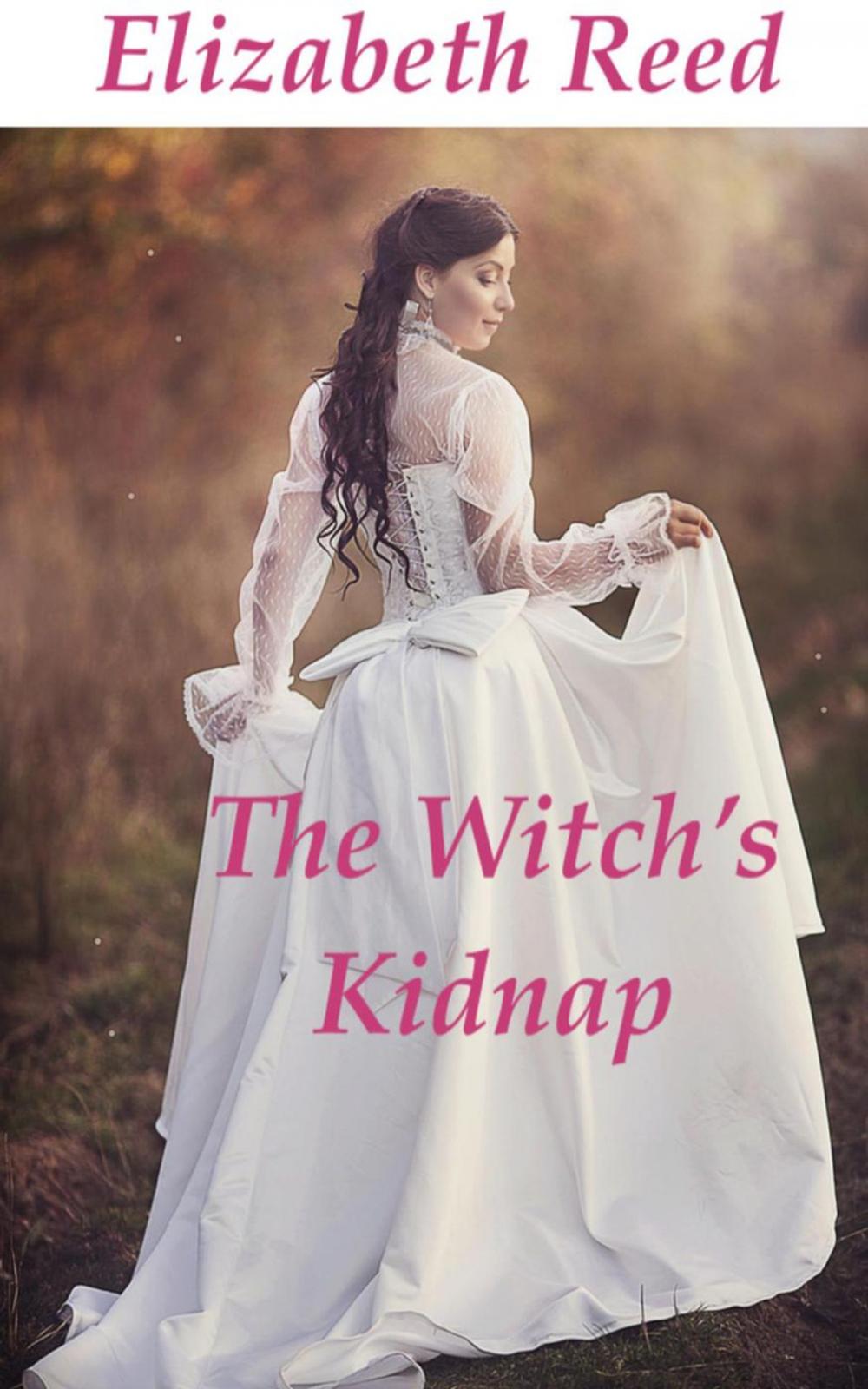 Big bigCover of The Witch’s Kidnap