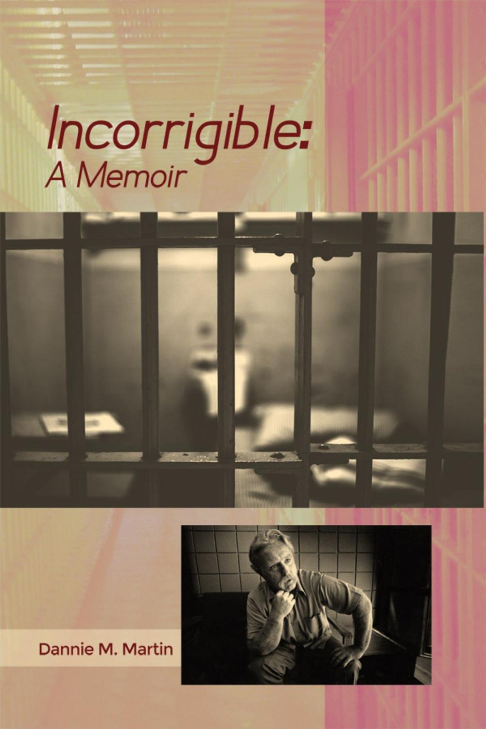 Big bigCover of Incorrigible