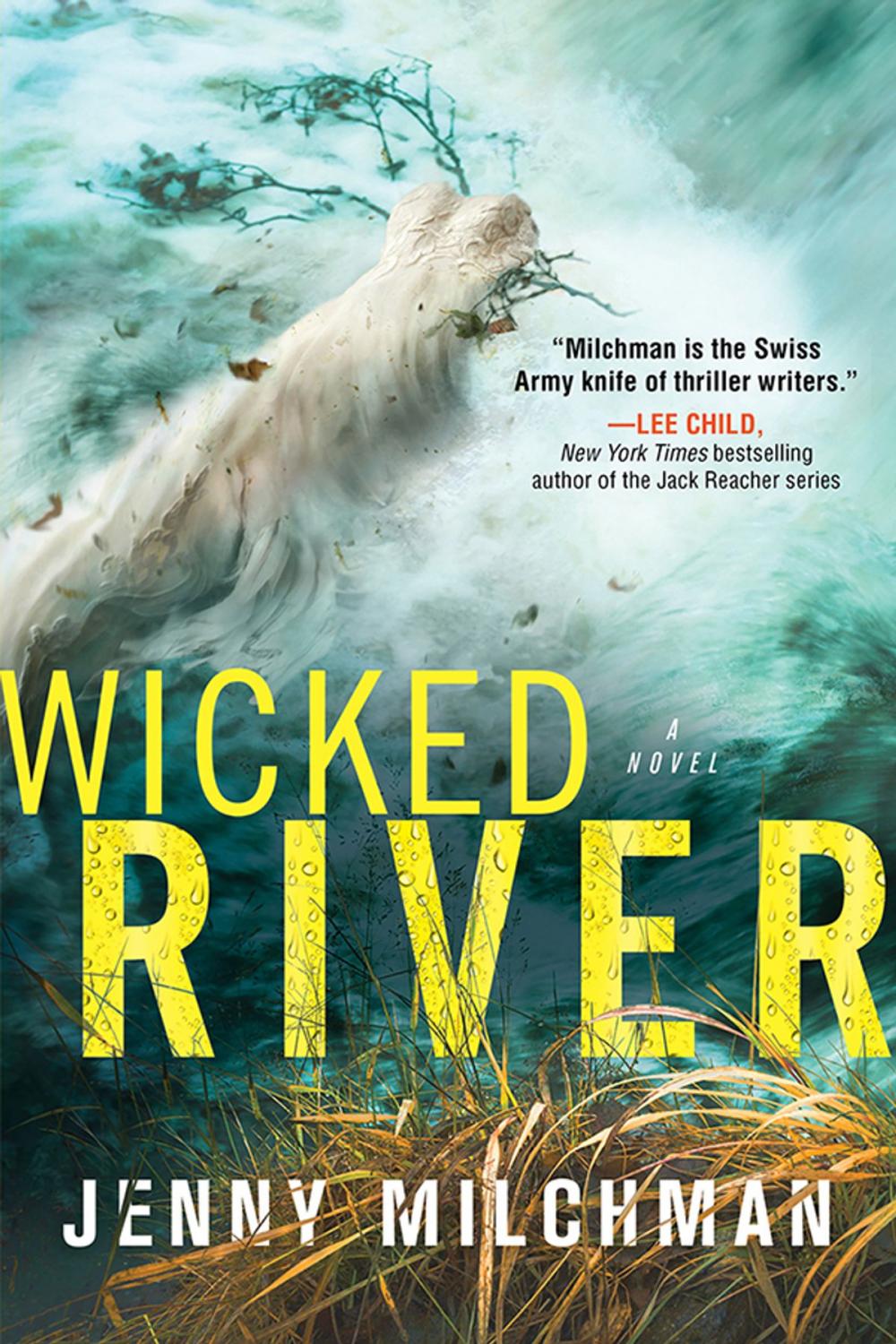Big bigCover of Wicked River