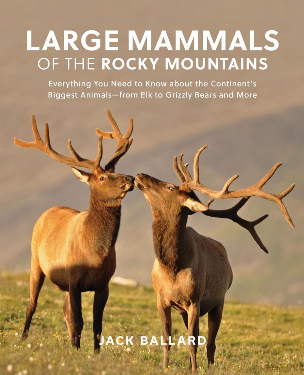 Big bigCover of Large Mammals of the Rocky Mountains