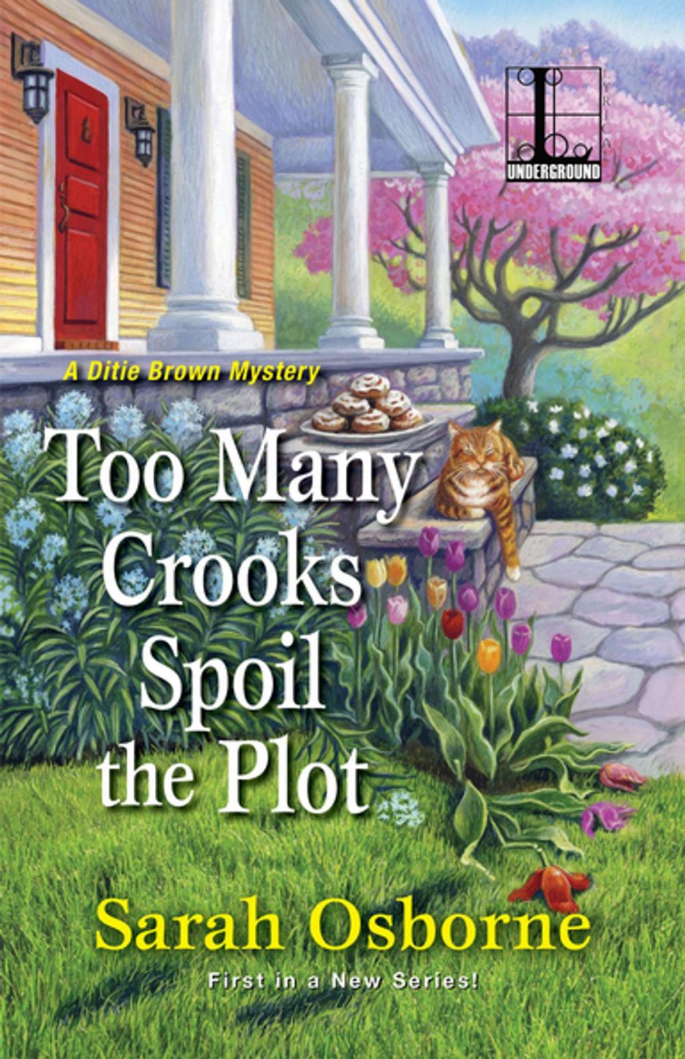 Big bigCover of Too Many Crooks Spoil the Plot