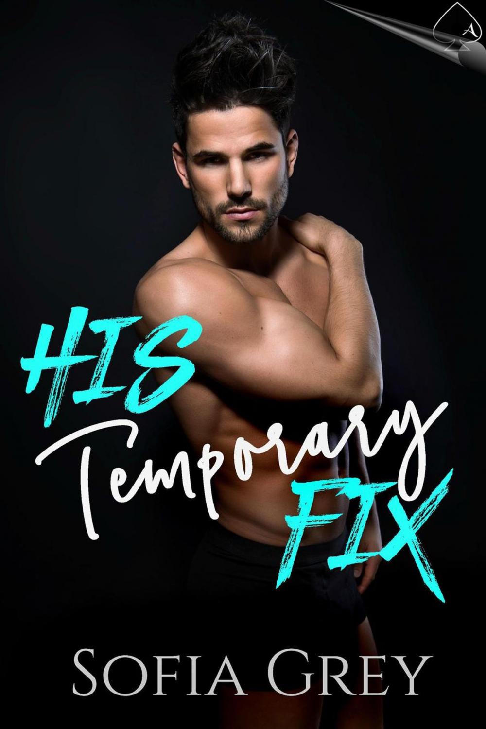 Big bigCover of His Temporary Fix