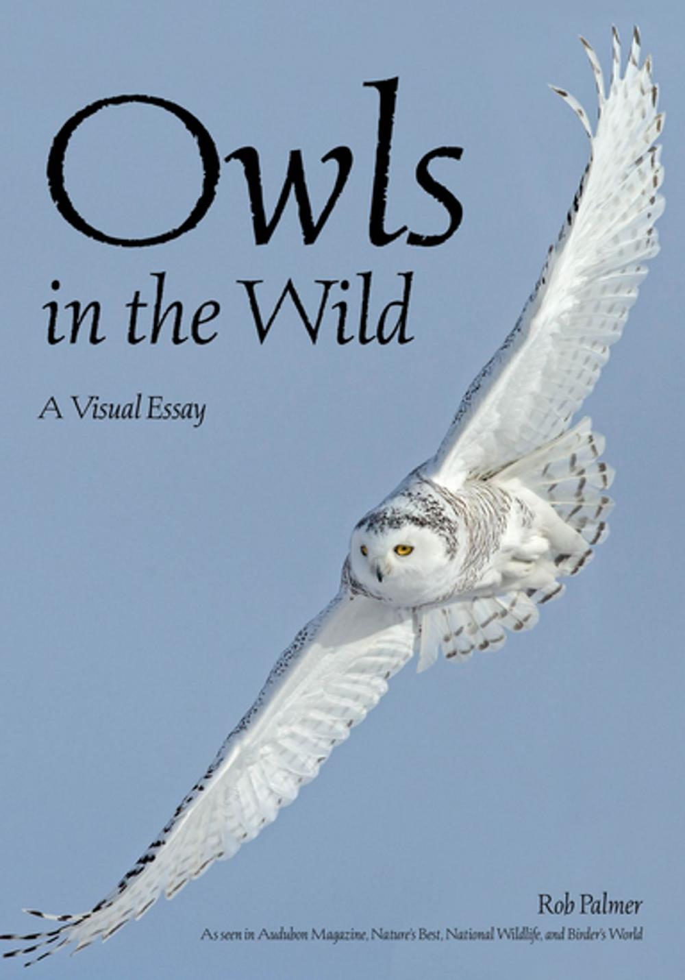 Big bigCover of Owls In The Wild