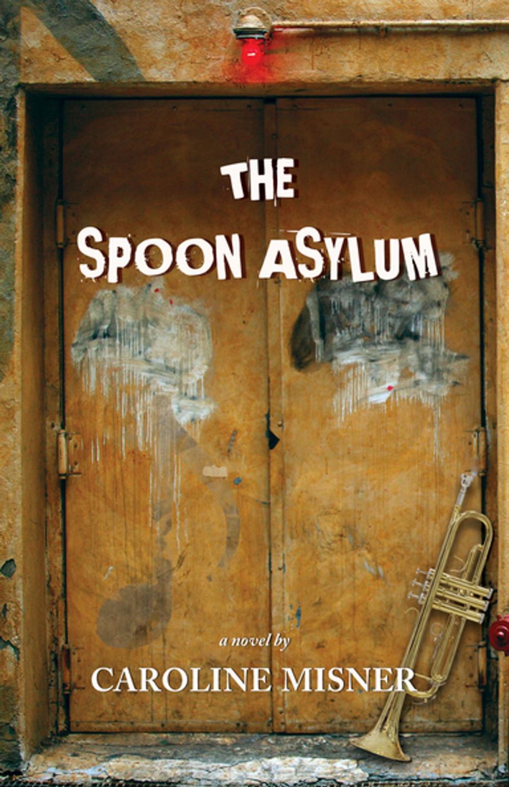 Big bigCover of The Spoon Asylum