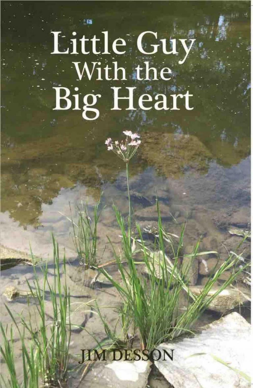 Big bigCover of Little Guy with the Big Heart