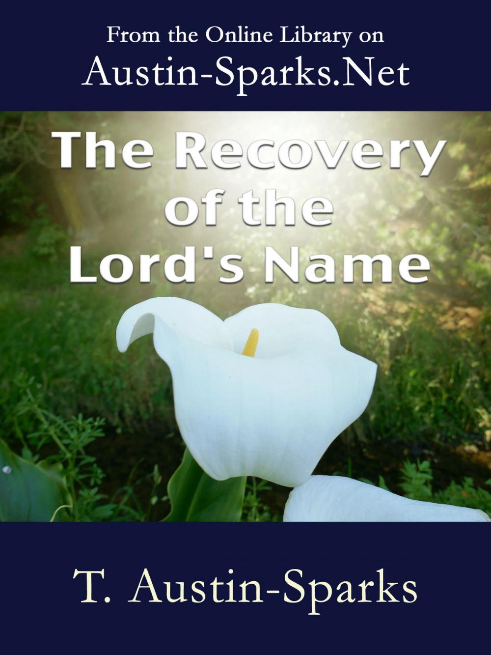 Big bigCover of The Recovery of the Lord's Name