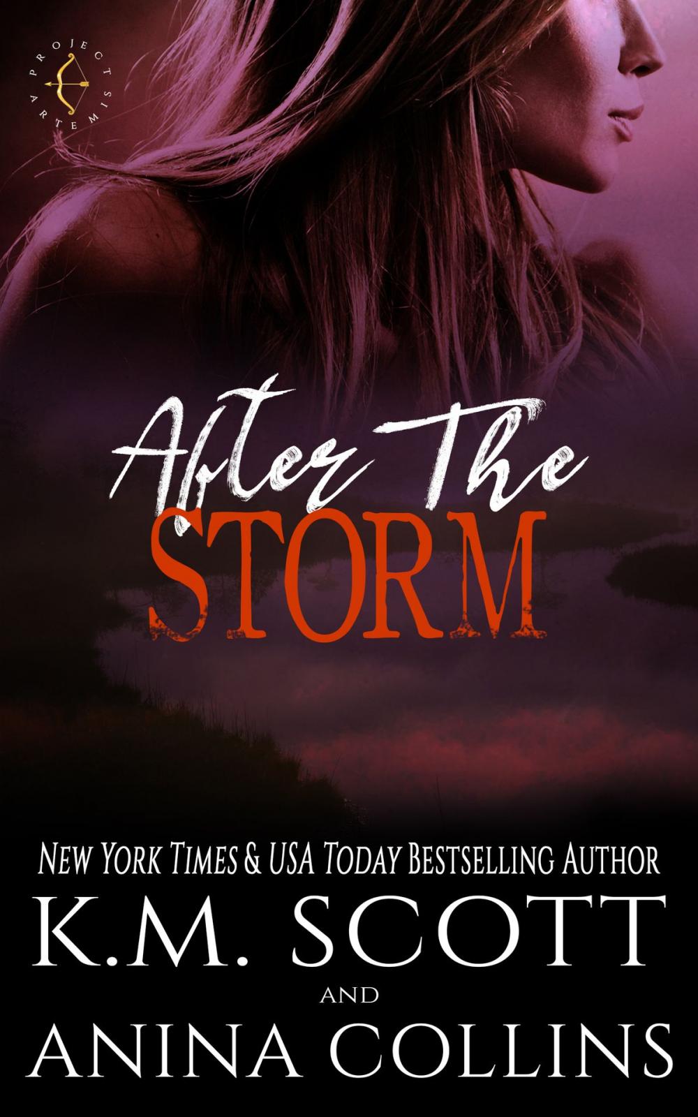 Big bigCover of After The Storm