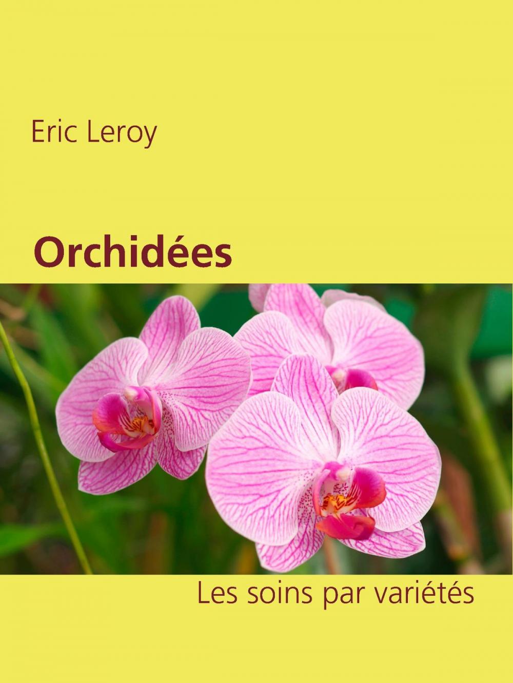 Big bigCover of Orchidées