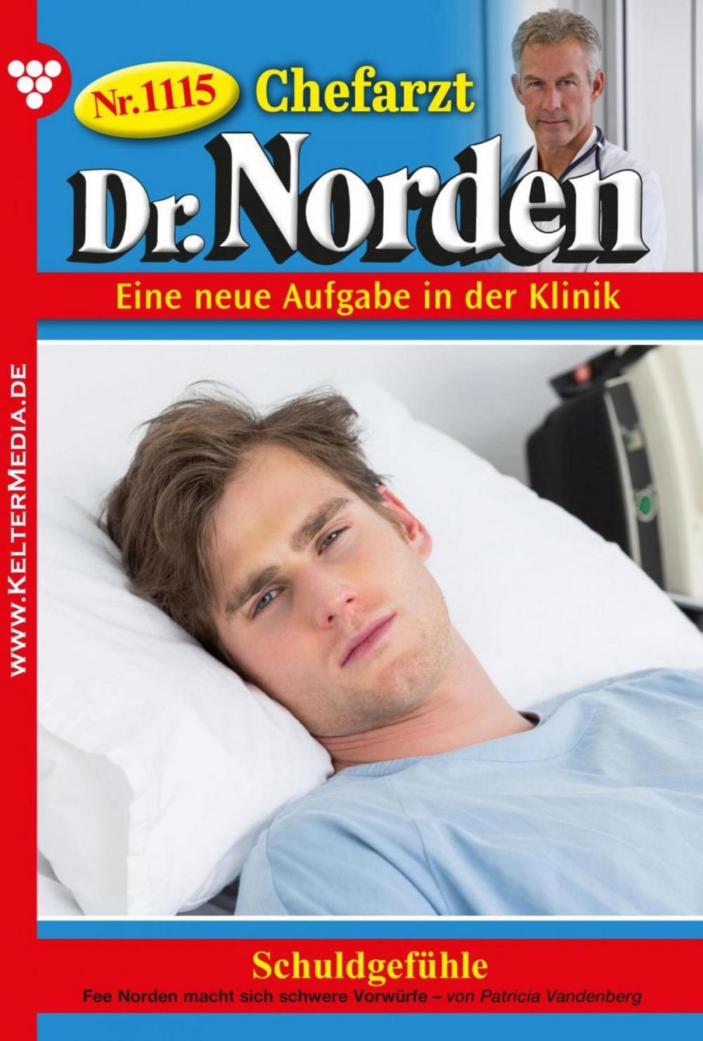 Big bigCover of Chefarzt Dr. Norden 1115 – Arztroman