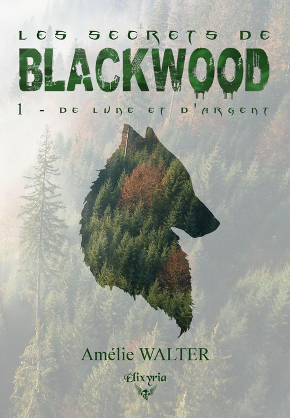 Big bigCover of Les secrets de Blackwood