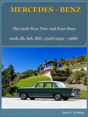 Cover of Mercedes-Benz W111 Fintail with buyer's guide and chassis number/data card explanation