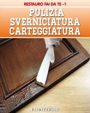 Cover of the book Pulizia - Sverniciatura - Carteggiatura by Jennifer Lake