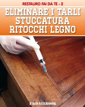 Cover of Eliminare i tarli - Stuccatura - Ritocchi legno