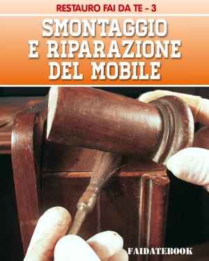 Book cover of Smontaggio e riparazione del mobile