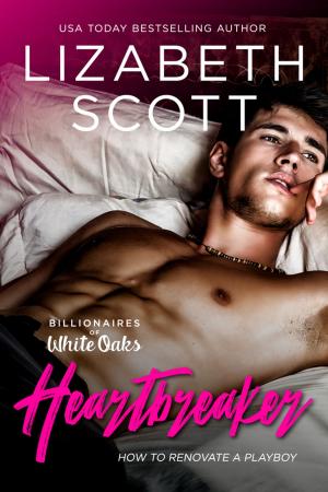 Cover of the book Heartbreaker by Lizabeth Scott