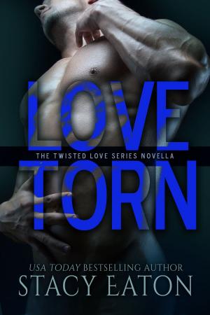 Cover of the book Love Torn by Hannah Warren