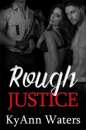Cover of the book Rough Justice by Erika Rhys