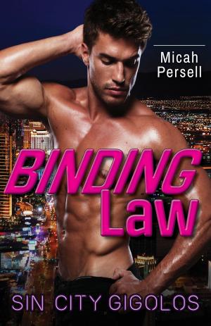 Cover of the book Binding Law by Edoardo Martorelli