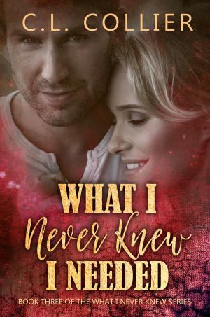 Cover of the book What I Never Knew I Needed by Shari Anton