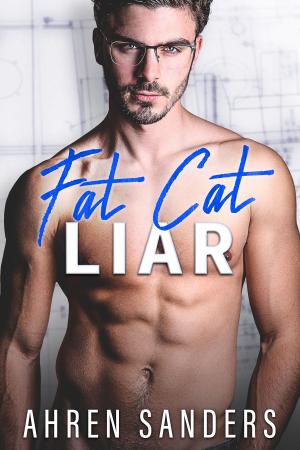 bigCover of the book Fat Cat Liar by 